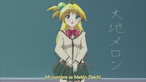 During studying time