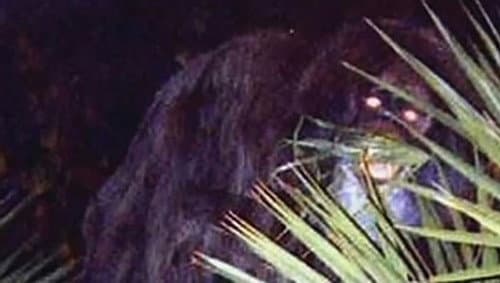 Swamp Beast