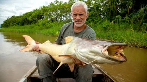 The Amazon