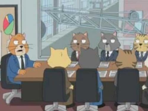 Cat Staff Meeting