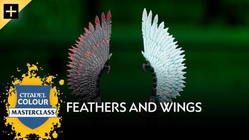 Feathers and Wings