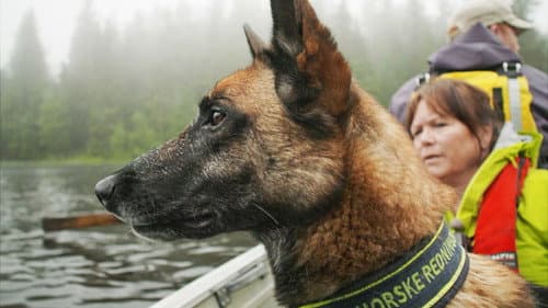 Searching from boat