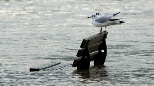 Are we going to disappear beneath the waves?