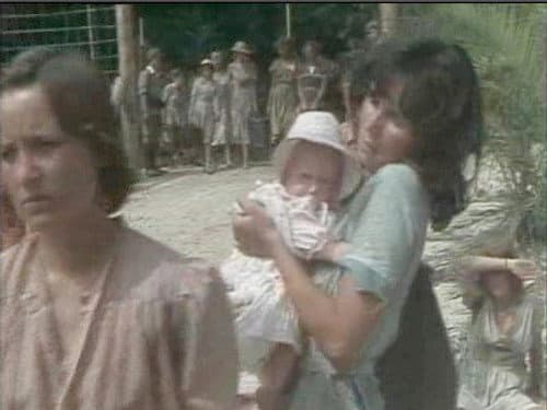 Internment