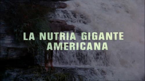 The Giant Otter