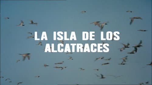 The Island of the Gannets