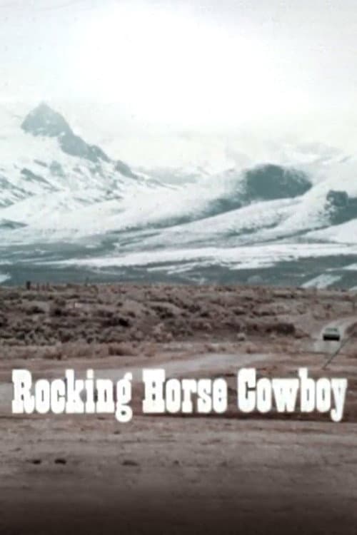 Rocking Horse Cowboy