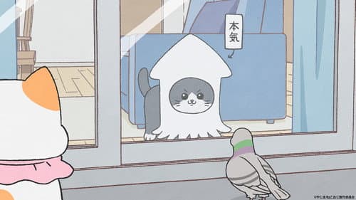 Episode 34