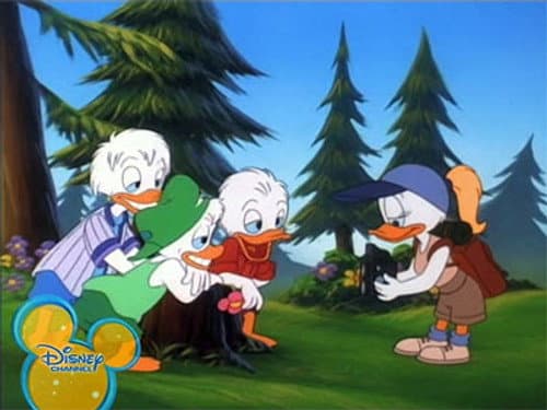 Ducks by Nature