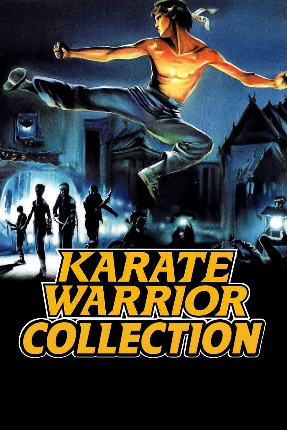 Karate Warrior Collection