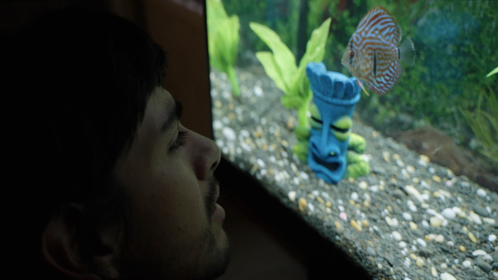 Notes from a Fish