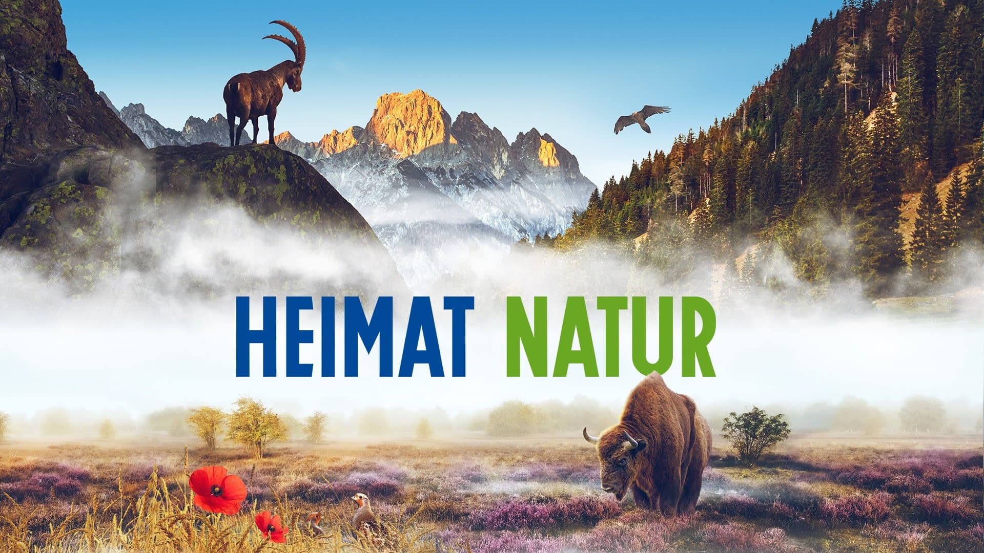Homeland Nature