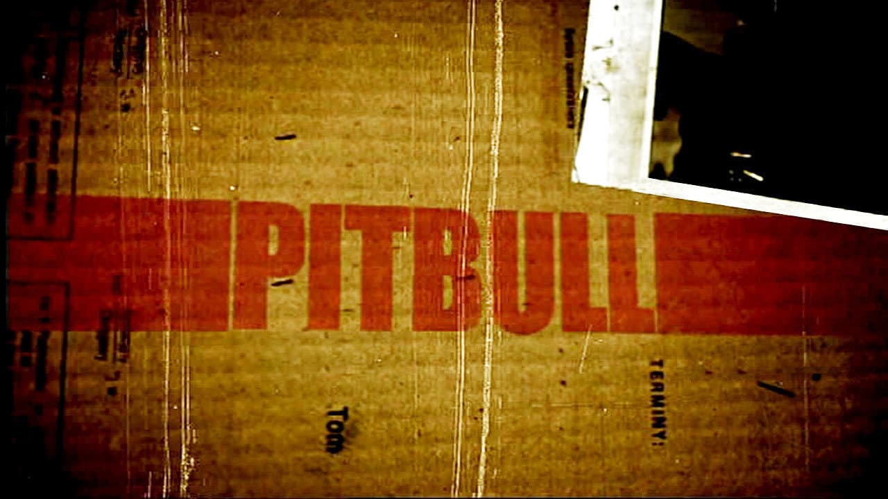 Pitbull Collection