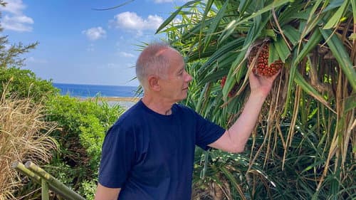 AMAMI OSHIMA: Isson's Treasure Island