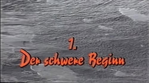 Der schwere Beginn
