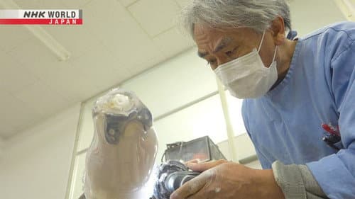 Prosthetics Pioneer - Usui Fumio