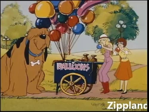 Bark In The Park