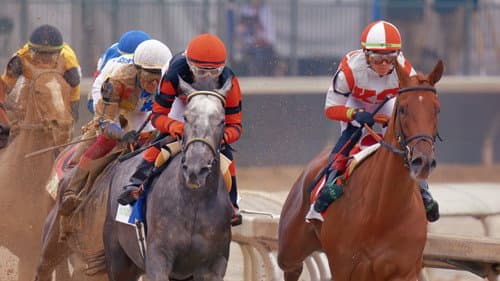 The Kentucky Derby: Photo Finish