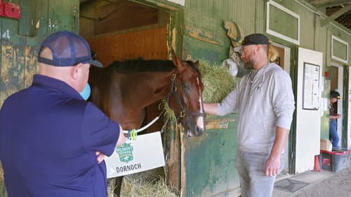 The Belmont: Test of a Champion