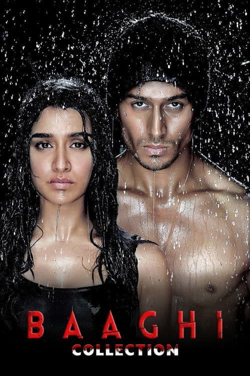 Baaghi Collection