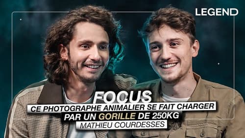 This wildlife photographer is charged by a 250 kg gorilla (Mathieu Courdesses)