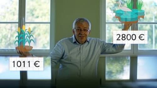 What if nature had a price?