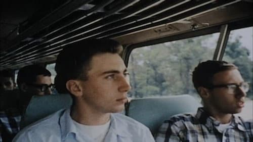 Search & Destroy (1966-1967)