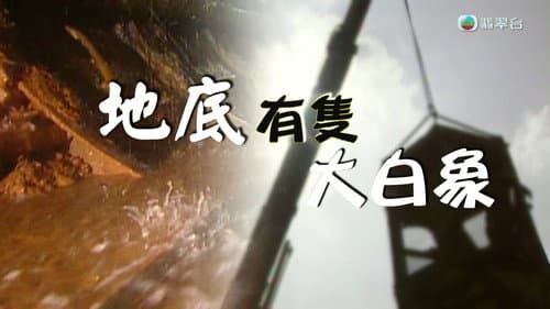 Episode 265