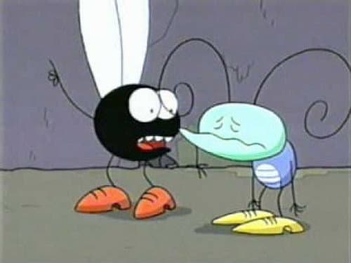 It's a Wonderful Fly